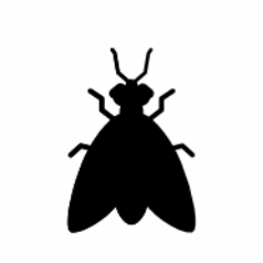 Lebah