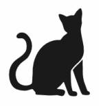 Kucing