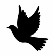 Burung